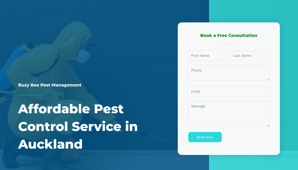 Buzy Bee Pest Management: Affordable and Effective Website Design